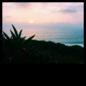 Meet your Posher, Izzy